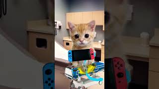 Banana Kiki Nintendo Switch