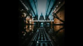 Story wa || Sholawat Penyejuk Hati Ya Habibi Ya Muhammad.