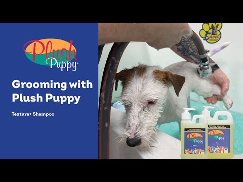 Plush Puppy Texture+ Shampoo