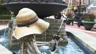 Skeletons Are Alive in Downtown Northville