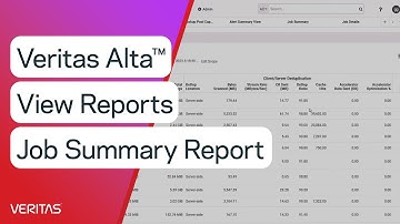 Veritas Alta™ View Reports Job Summary Report