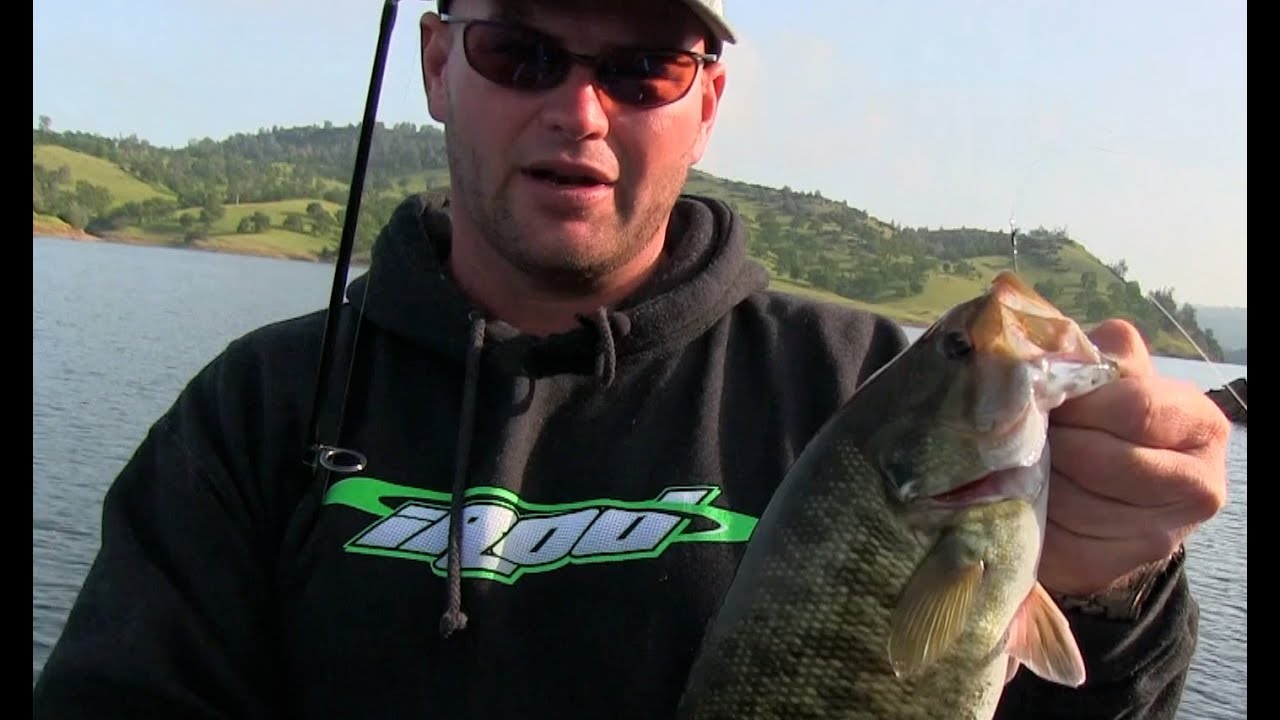 Large Smallmouth bass | Lake Pardee | Bub Tosh