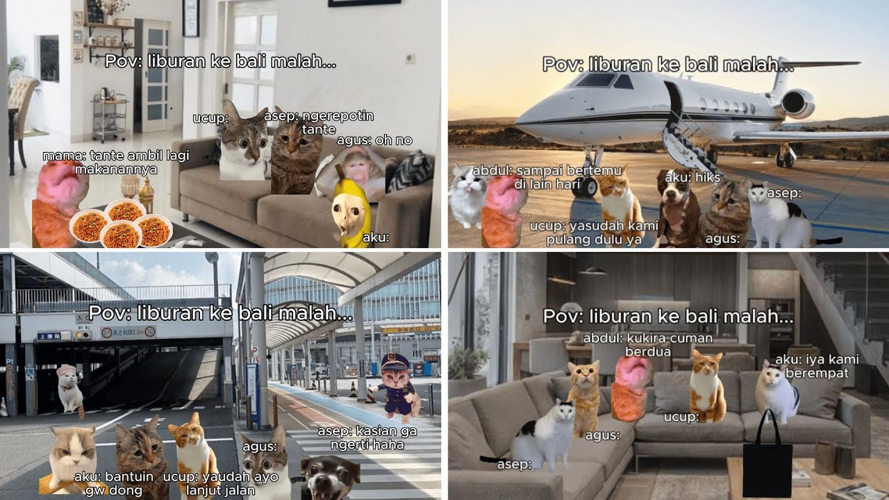 Pov: liburan ke bali malah... | [Full Movie] | Meme Kucing | #pov #meme #kucing #cat