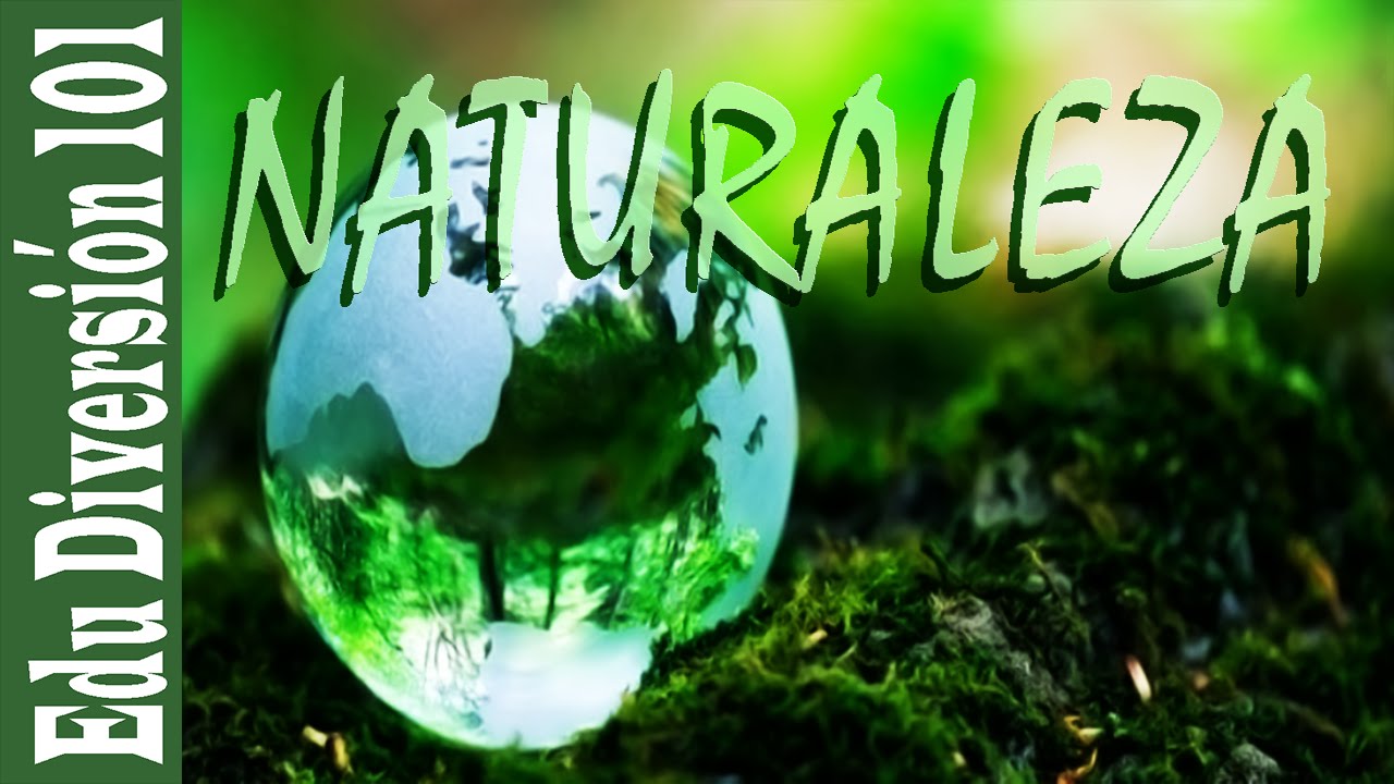 La Importancia de cuidar la Naturaleza-Tips para ser mas ...