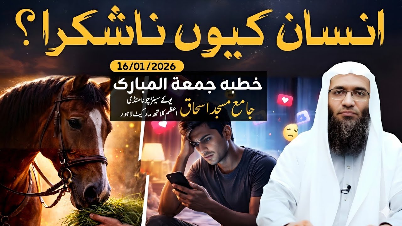 گھوڑا شکر گزار، انسان ناشکرا؟ سوشل میڈیا کی تلخ حقیقت