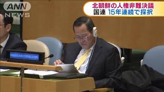 北朝鮮の人権非難決議15年連続で採択　国連総会(19/12/19)