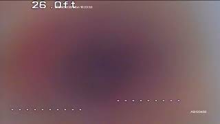 24192 Barquero - Under the house