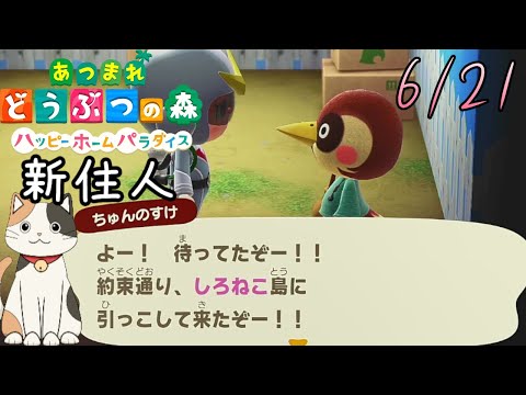 ねこ王子　ゲーム王国