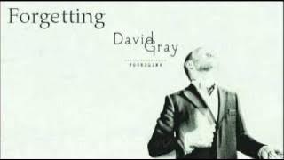 David Gray - Forgetting