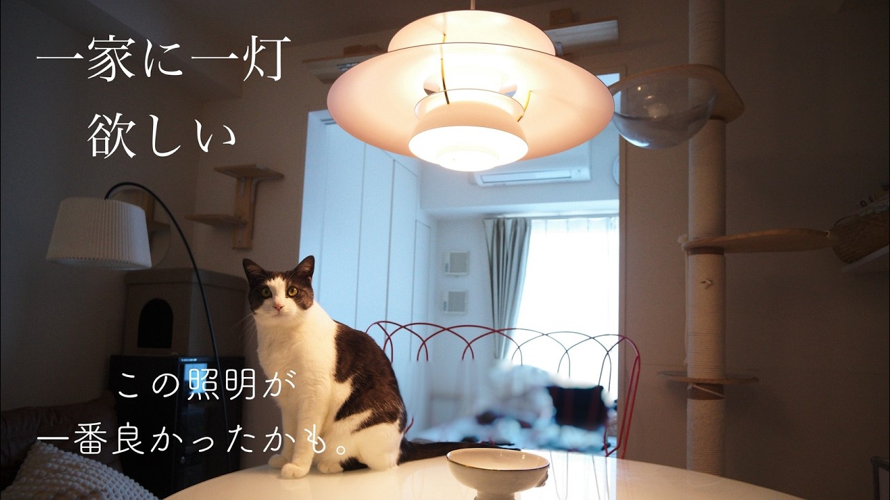 PH5】この照明にして、暮らしが変わった。北欧暮らしに憧れる夫婦 