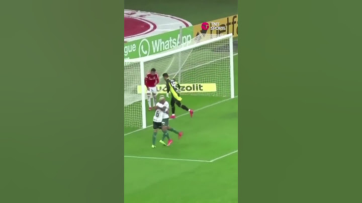 Bizarro!!! Veja o gol que o Danilo marcou na vitória do Palmeiras