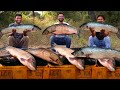 Amazing Fish Curry Recipe | Traditional Fish Recipe by Grandpa Kitchen