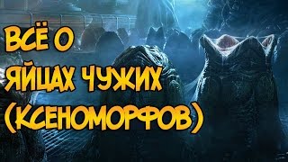 Овоморфы - яйца Чужих (Ксеноморфов) из фильмов Чужой / Чужие