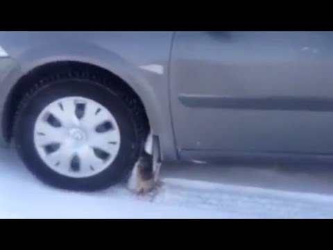 Брызговики меган 2