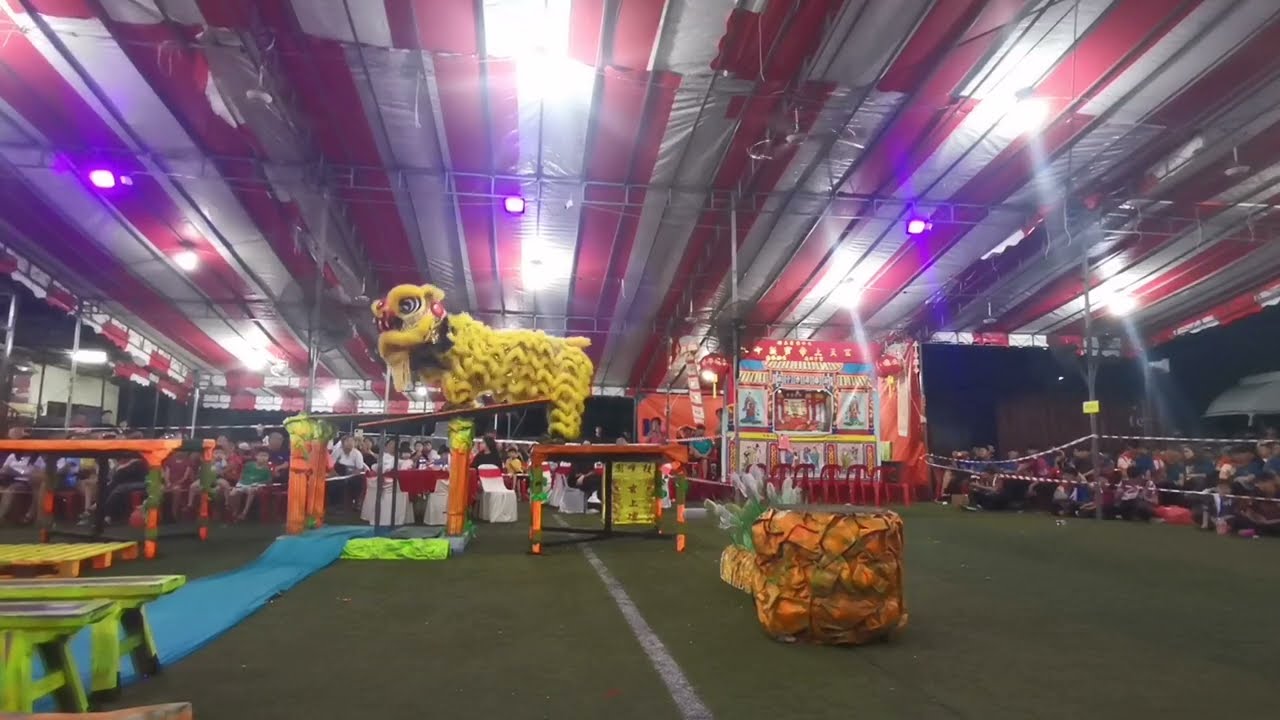 柔佛新山白鹤派武術龙狮团🇲🇾。         (士古来艺鸿龙狮龙狮团🇲🇾