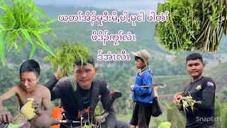 ယတၢ်အိၣ်မူဒ်အံၤအမုာ်ဘၣ်သုစ့ၢ်ဧါ?😳🥸😎😢😮