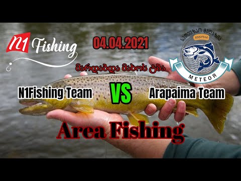 დიდი გამარჯვება N1Fishing Team VS Arapaima Team