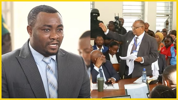 KAKA WA LISSU ASIMAMA MAHAKAMANI KESI IKIENDELEA/ AMKATISHA WAKILI WA SERIKALI/ AMPA LISSU NONDO...