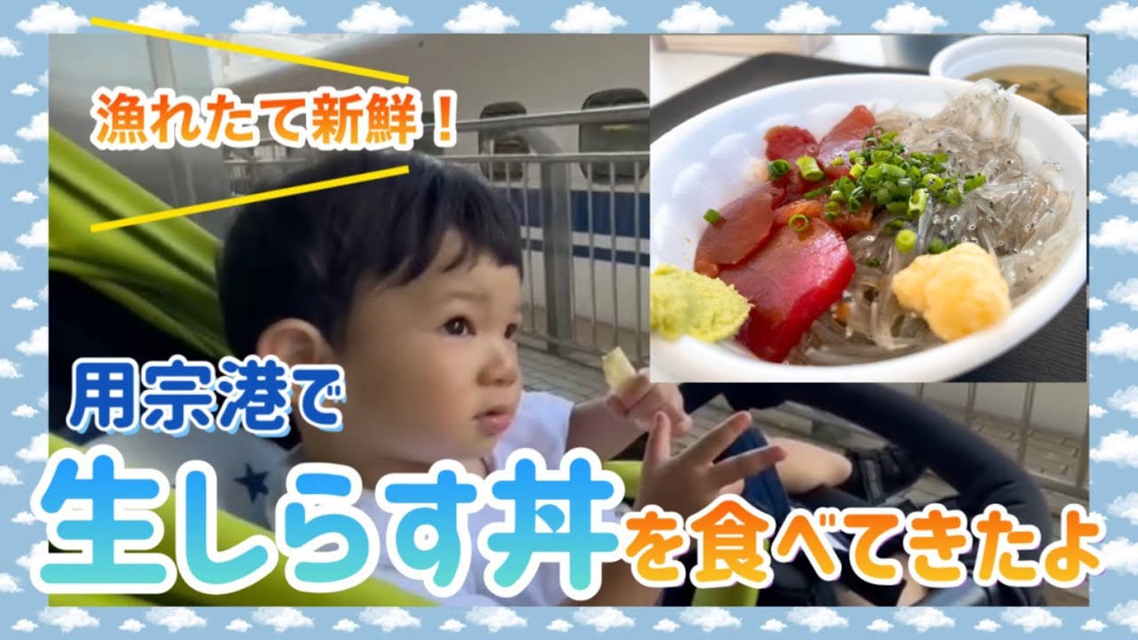 【静岡旅行vol.2】漁れたて新鮮！ 用宗港で生しらす丼を食べてきたよ