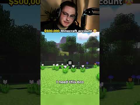 the 0k Minecraft account 😳