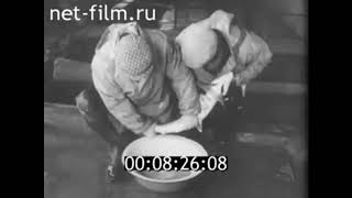 видео: 1969г. Осетр и белорыбица в Каспийском море картинка: 1969г. Осетр и белорыбица в Каспийском море