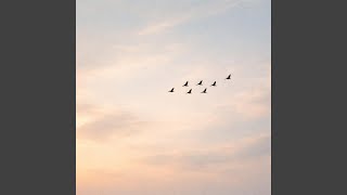 Birds of Spring - Claudio Constantini