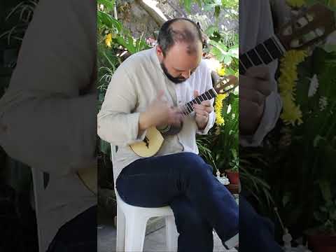 Marião - Cavaquinho