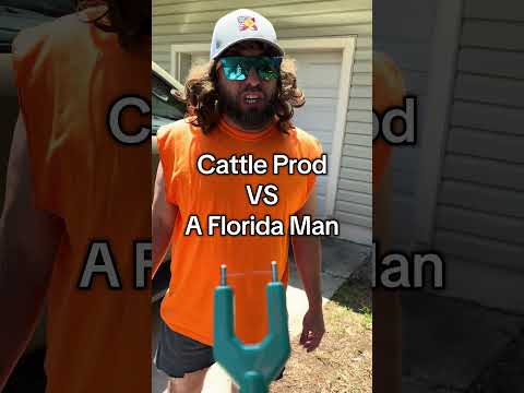 Florida men do not fear electric shock ⚡️ 📍Orlando area tryouts: Sept 27 at Sausage Castle!Tix Fri