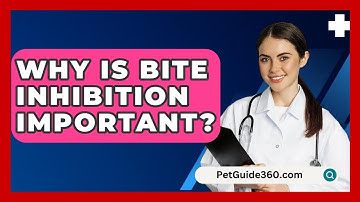 Why Is Bite Inhibition Important? - PetGuide360.com