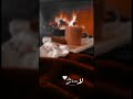 لا ملامة عال حبو
