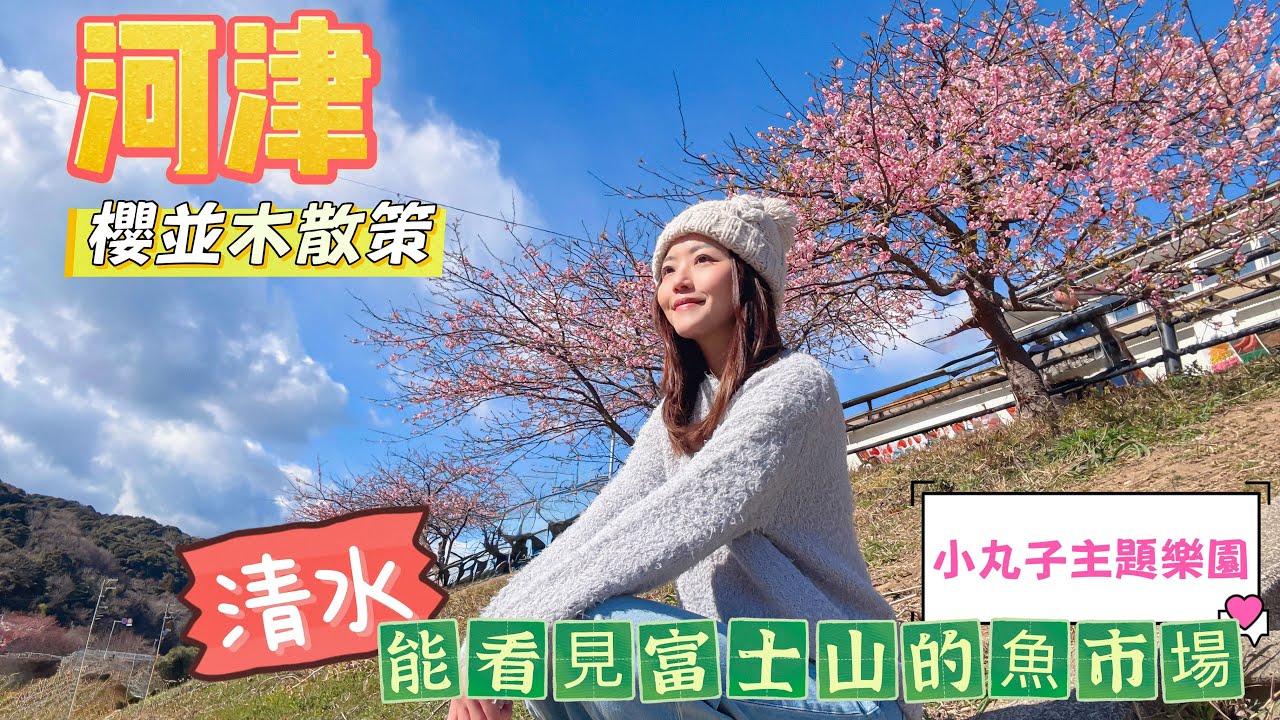 【日本靜岡】 河津櫻花祭🌸櫻並木散步道路｜小丸子👩🏻主題樂園｜大型親子商場🏬｜清水🐟魚市場必食店舖｜交通🚎懶人包｜高CP值酒店🏨分享| #日本 #富士山 #河律 #清水