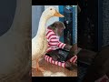 Super monkey - Smart monkey Abu takes care duck 5  #shortfamilyab #familyabu