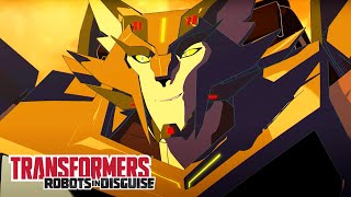 Transformers: Robots in Disguise | Steeljaw | Çizgi Filmler | Transformers Türkçe