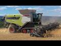 CLAAS Lexion 7500 with Geringhoff TruFlex Razor 35 Demo