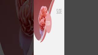 Modern Professional PowerPoint Slide Animation