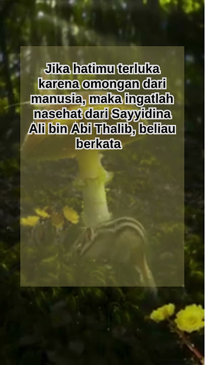 KATA NASEHAT DARI SAYYIDINA ALI BIN ABI THALIB #videoshorts