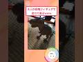 想像の5倍は本気だったww【2ch面白いスレ】