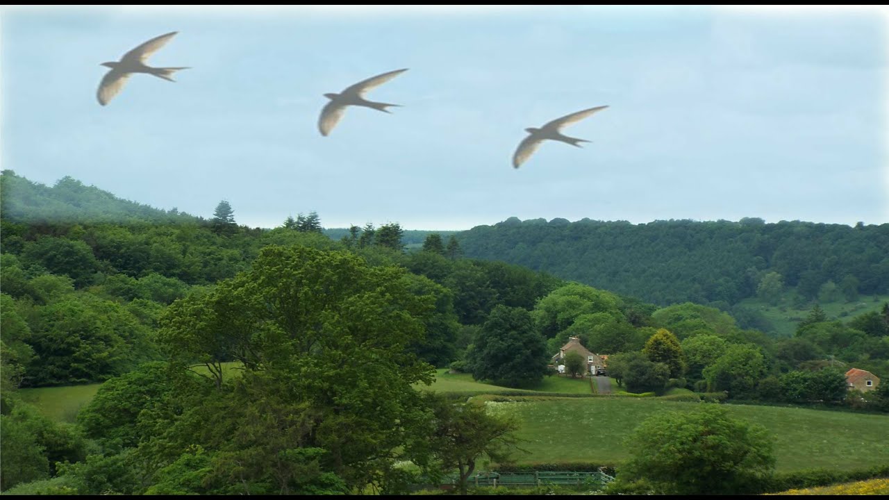 Delius: Sonata for Strings 3. arr. Eric Fenby.