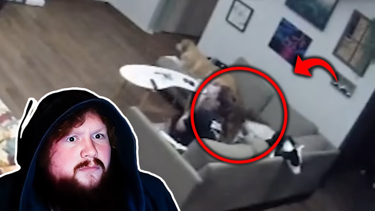 Кейсио пытается опровергнуть эти вирусные видео с призраками...