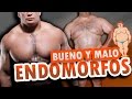 Lo BUENO y MALO del ENDOMORFO | OzielCarmo