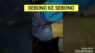 SEBONO KE SEBONO