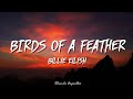 Billie Eilish BIRDS OF A FEATHER Lyrics 