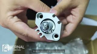 Unboxing the SMC CDQ2B20-50DMZ