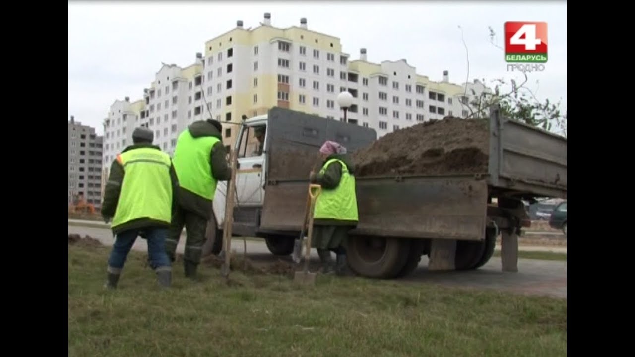 Авто 1 гродно ольшанка