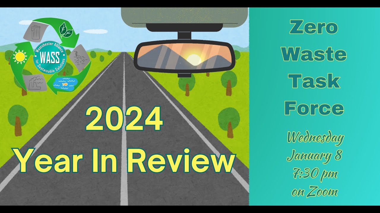 Jan 2025 ZWTF: Looking ahead from 2024