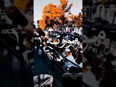 الدنيا خدتني فسكة شمال حالات وتس