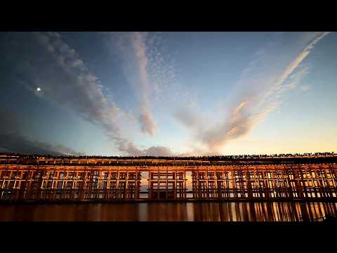 大阪・関西万博　夜の大屋根リング　Grand Ring at night, EXPO 2025 Osaka, Kansai, Japan　(2025.9~10)