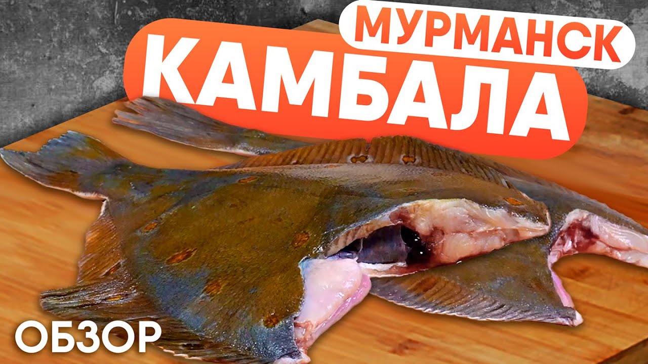 Мурманская камбала: как выбрать, разделать и приготовить. Рекомендации от шефа Сергея Лигая