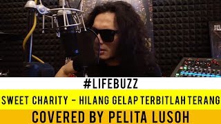 LifeBuzz: Pelita Lusoh - Hilang Gelap Terbitlah Terang (Originally performed by Sweet Charity)