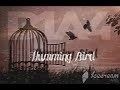 B1A4|HUMMING BIRD|VIETSUB|LYRICS